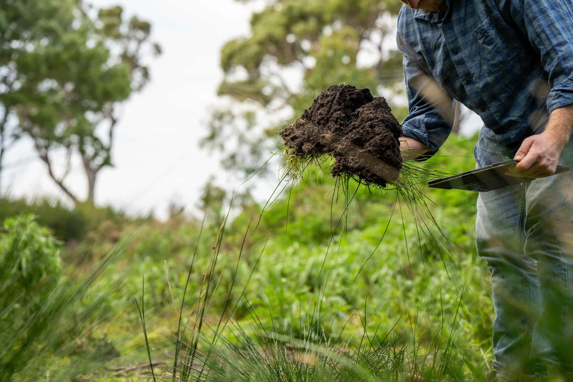 Why Soil Carbon Works.